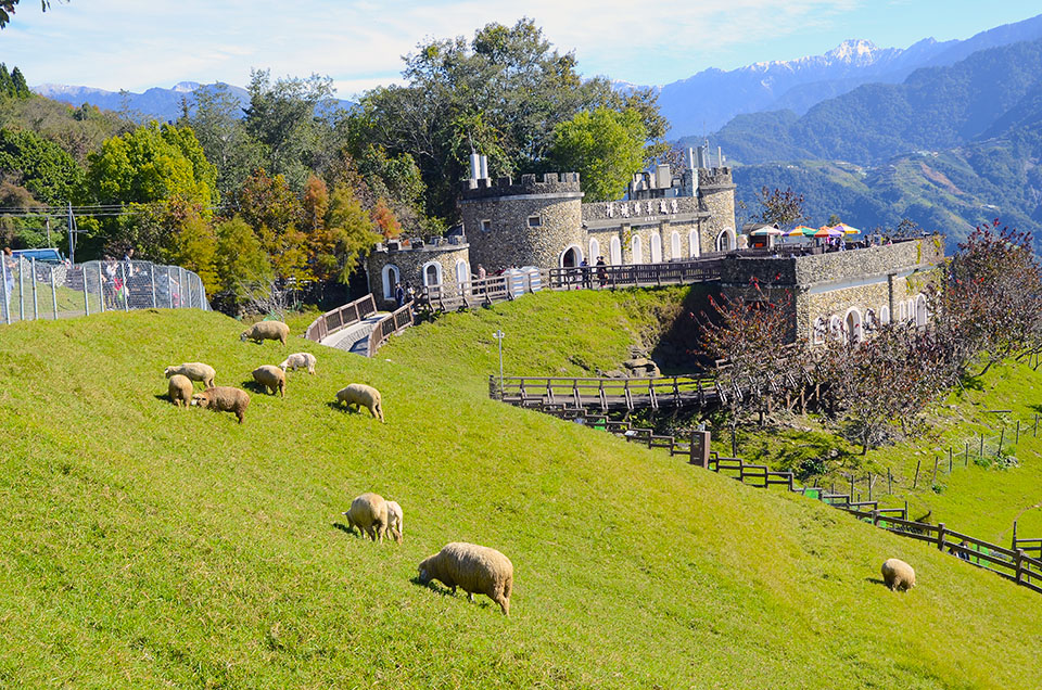 Cingjing Farm